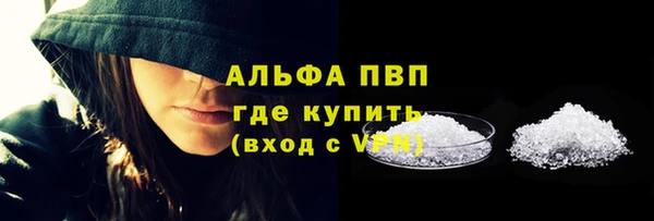 прущий лед Ладушкин