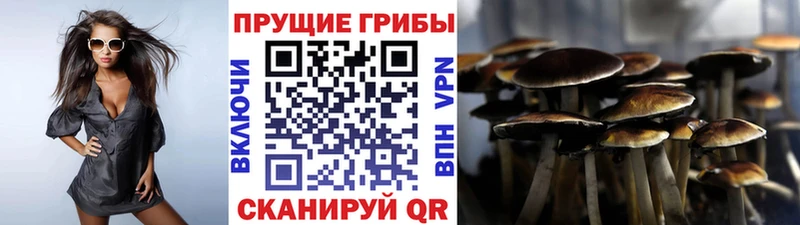 ссылка на мегу сайт  сайты даркнета клад  Псилоцибиновые грибы Psilocybine cubensis  Ува 